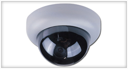 Dome Cameras